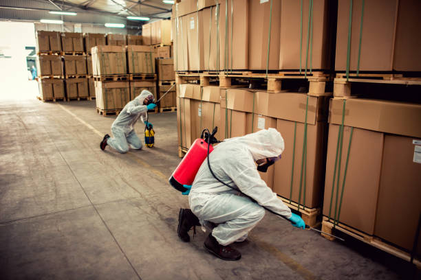 Best Flea Control Services  in Buena Vista, MI