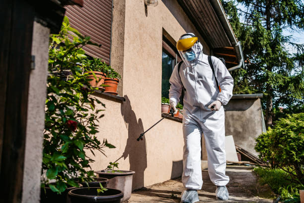 Best Local Pest Control Services  in Buena Vista, MI