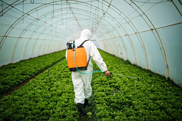 Best Pest Inspection Near Me  in Buena Vista, MI