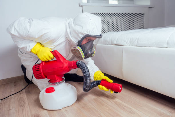 Best Wildlife Control Services  in Buena Vista, MI