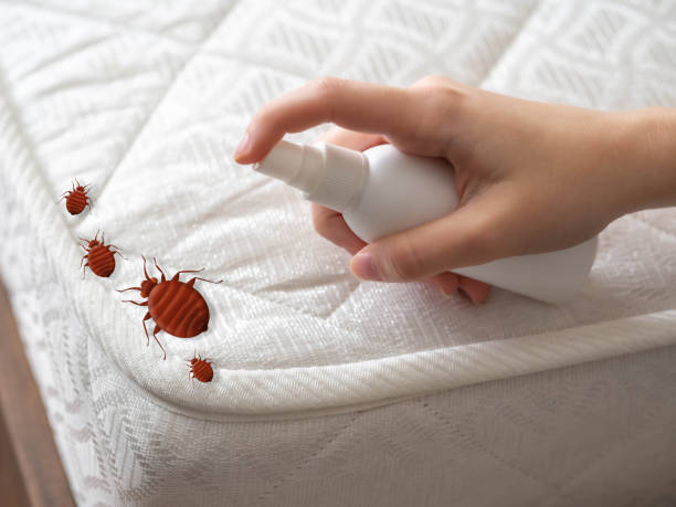 Best Residential Pest Control  in Buena Vista, MI