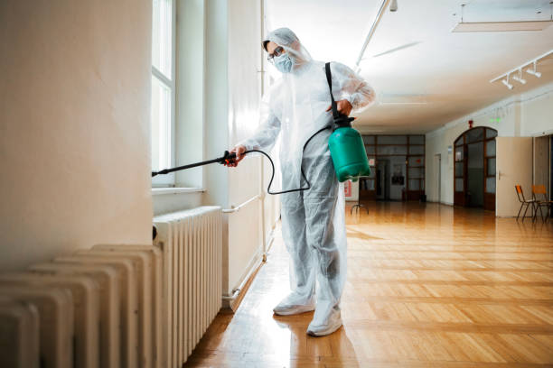 Best Wasp Removal Services  in Buena Vista, MI