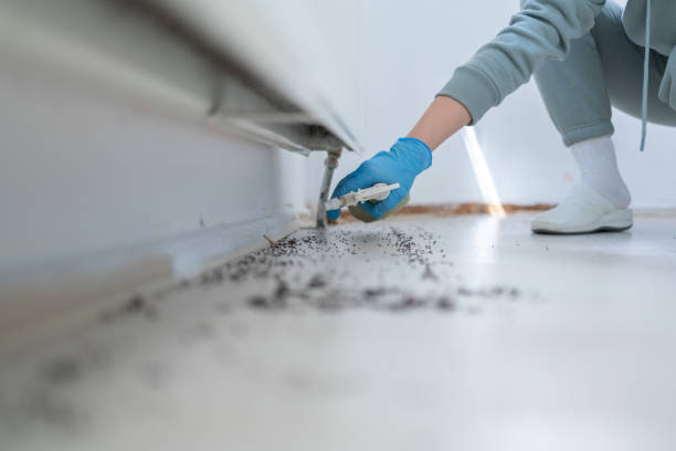 Best Pest Prevention Services  in Buena Vista, MI