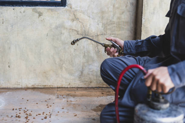 Best Best Pest Control Companies  in Buena Vista, MI